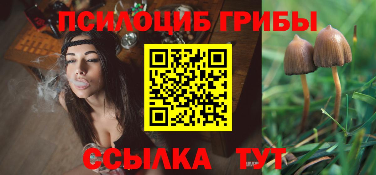 Галлюциногенные грибы Psilocybine cubensis Сургут