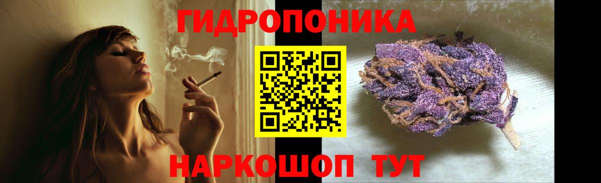 Сургут  Бошки марихуана конопля  Вход с VPN  МАРИХУАНА семена  Шишки марихуана конопля 